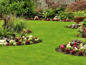 Landscape Garden